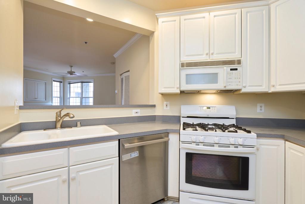 1321 N ADAMS COURT Unit: 106