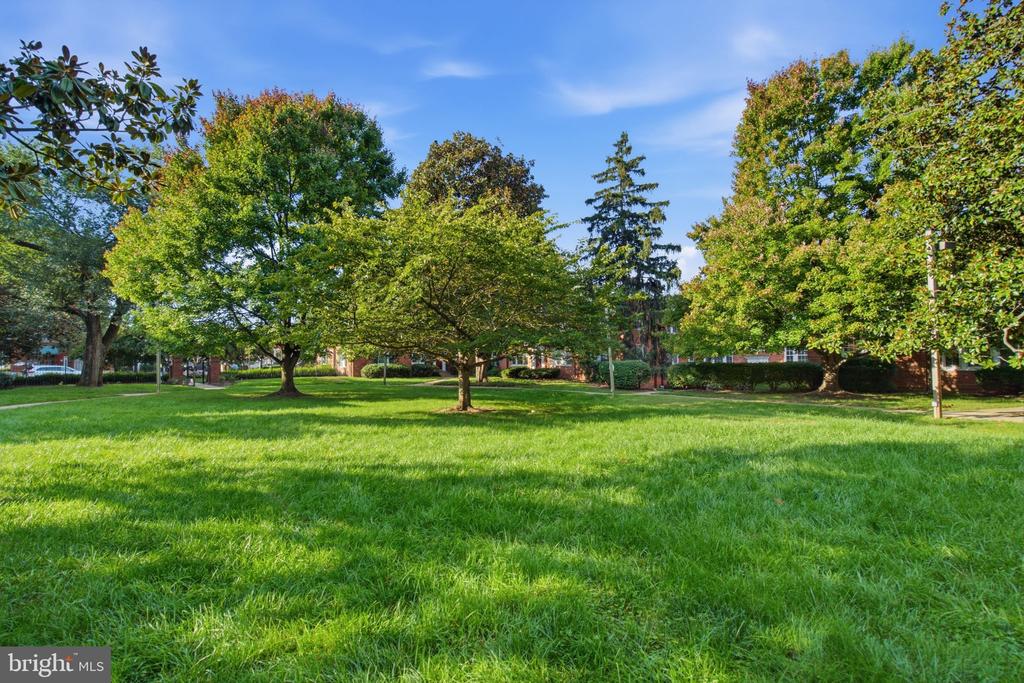 1728 N QUEENS LANE Unit: 3-181