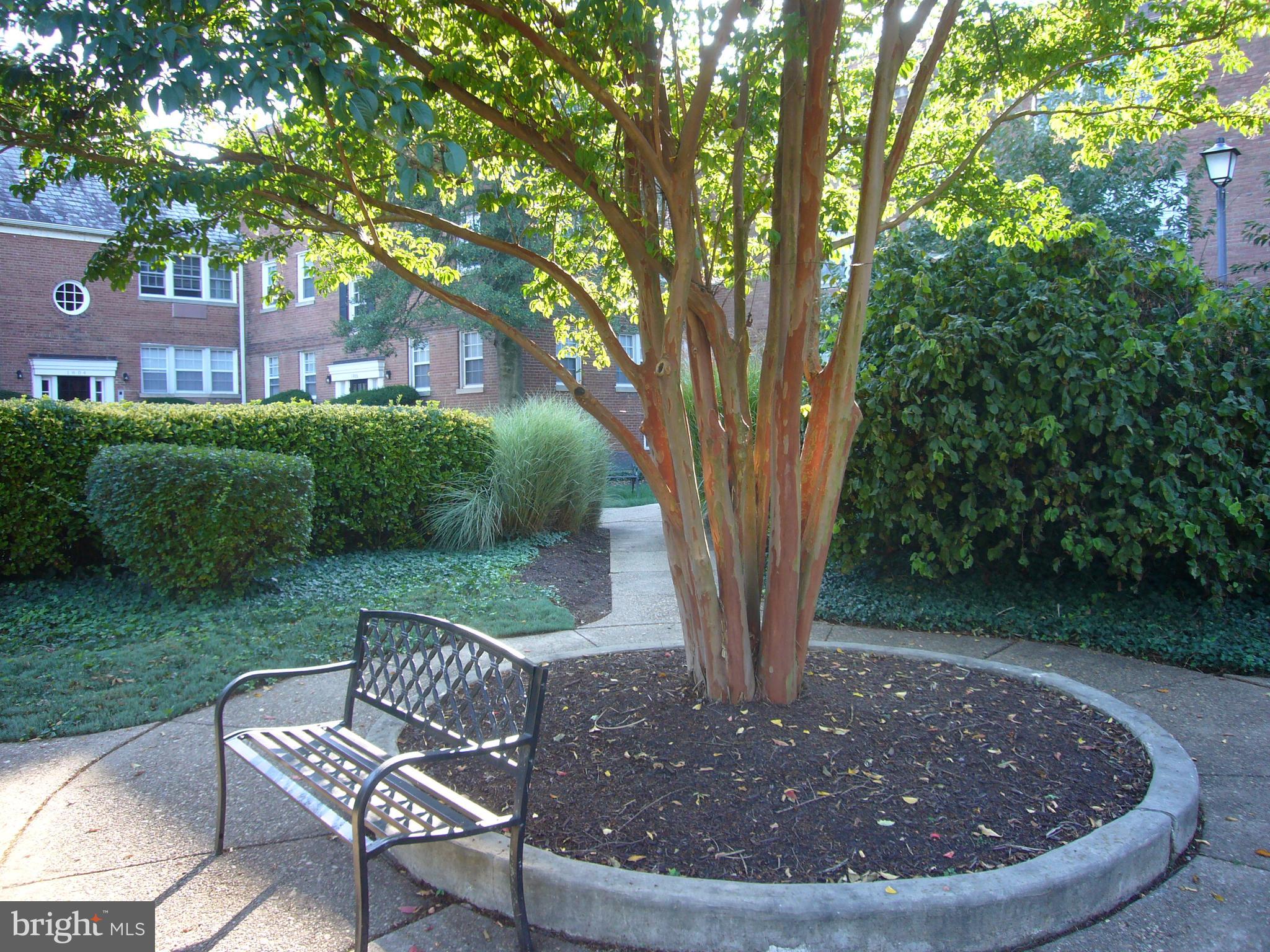 1810 W ABINGDON DRIVE 101