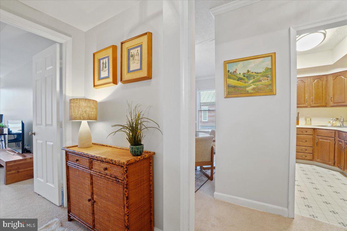 801 S PITT STREET 431