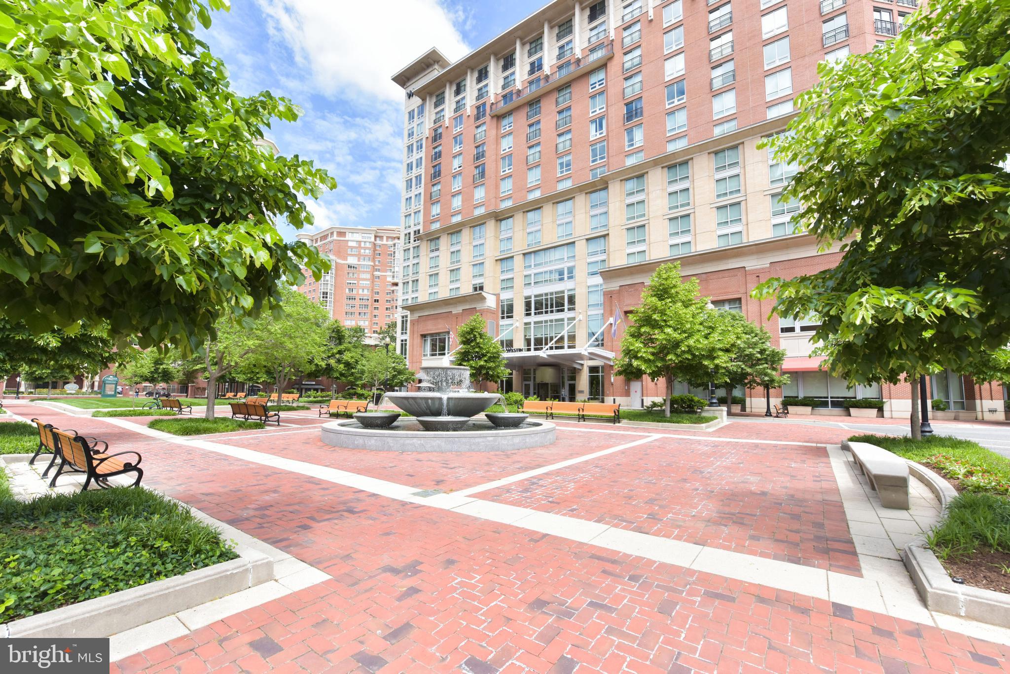 2151 JAMIESON AVENUE 2104