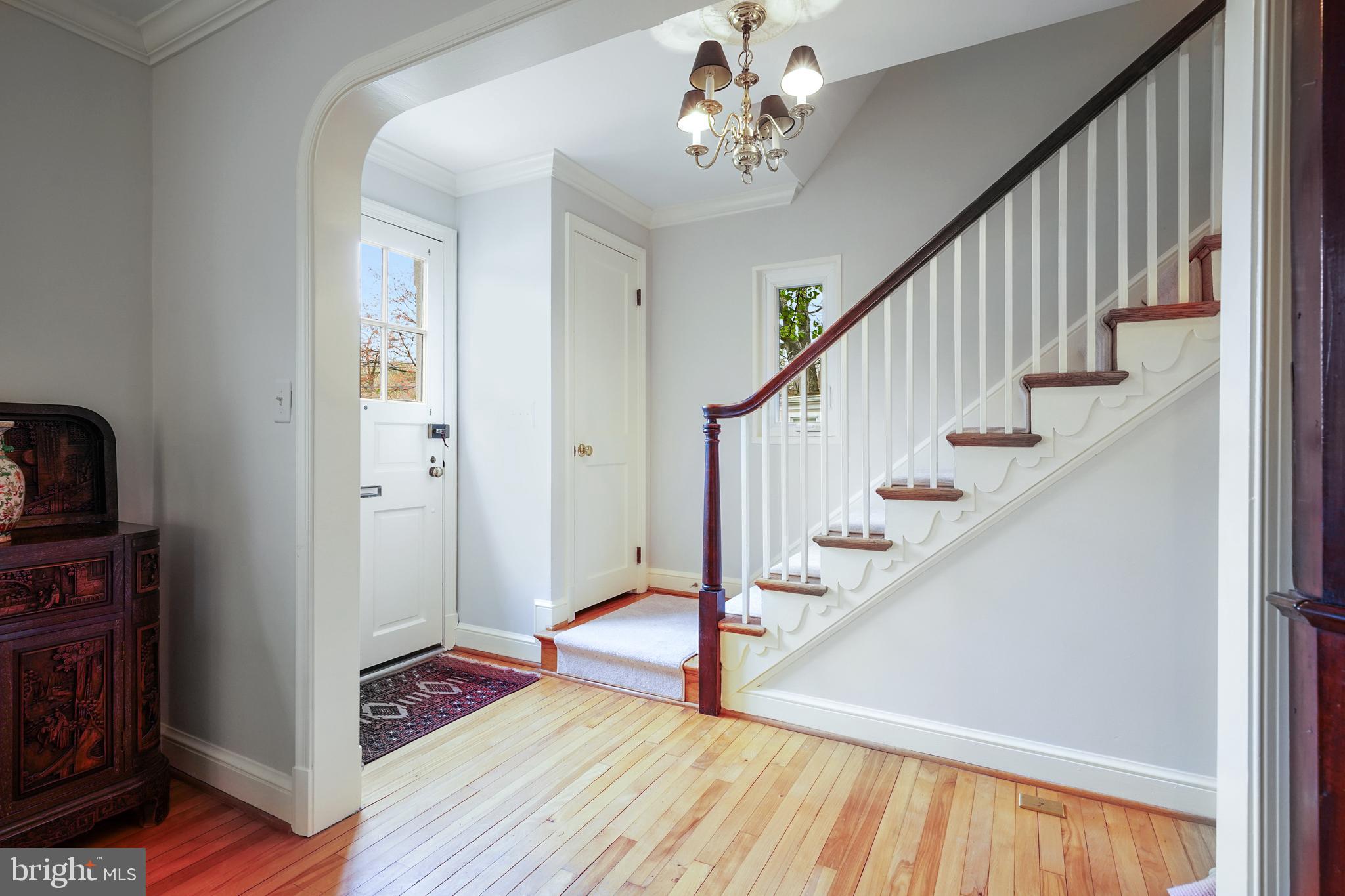 904 W BRADDOCK ROAD