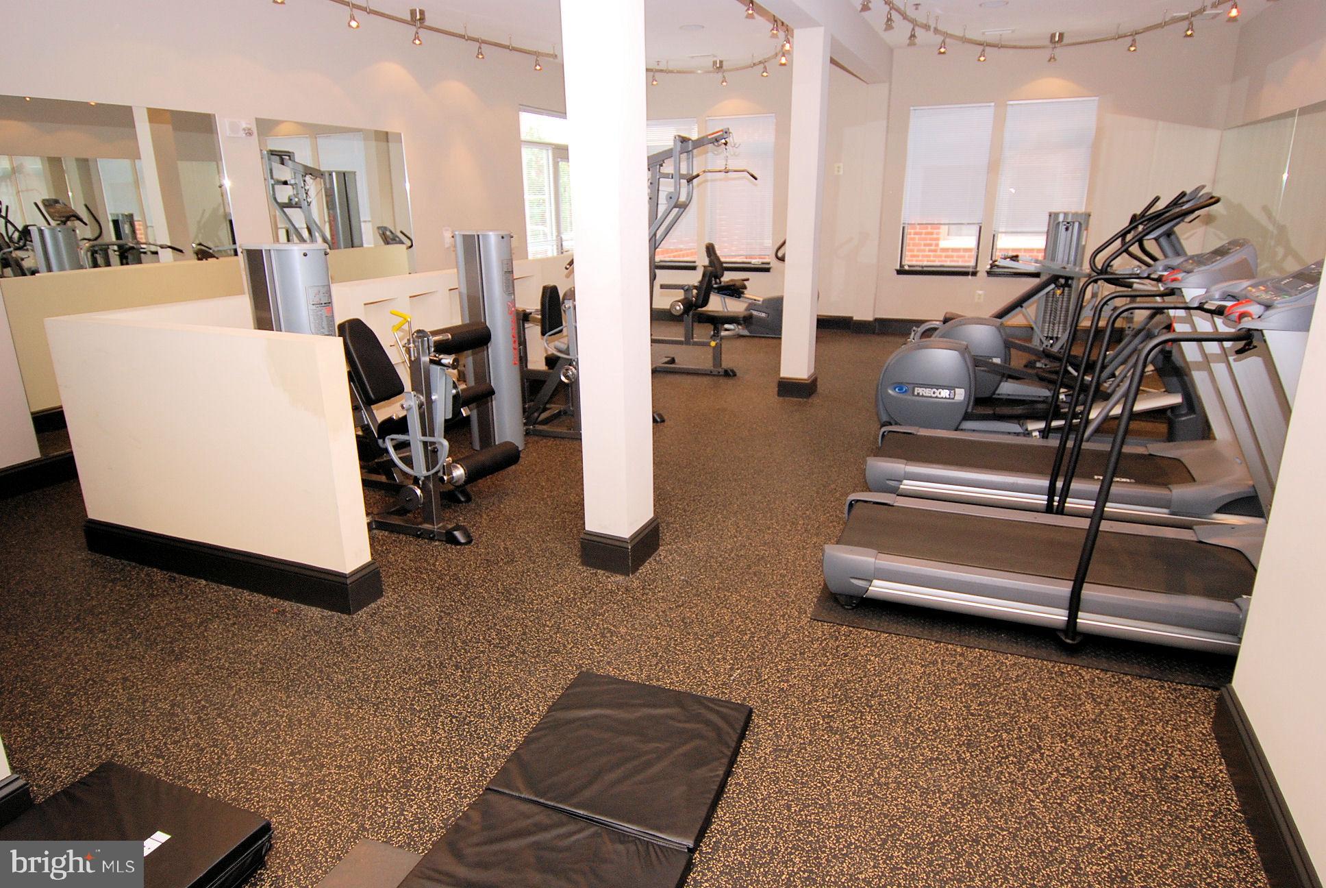 309 HOLLAND LANE 331