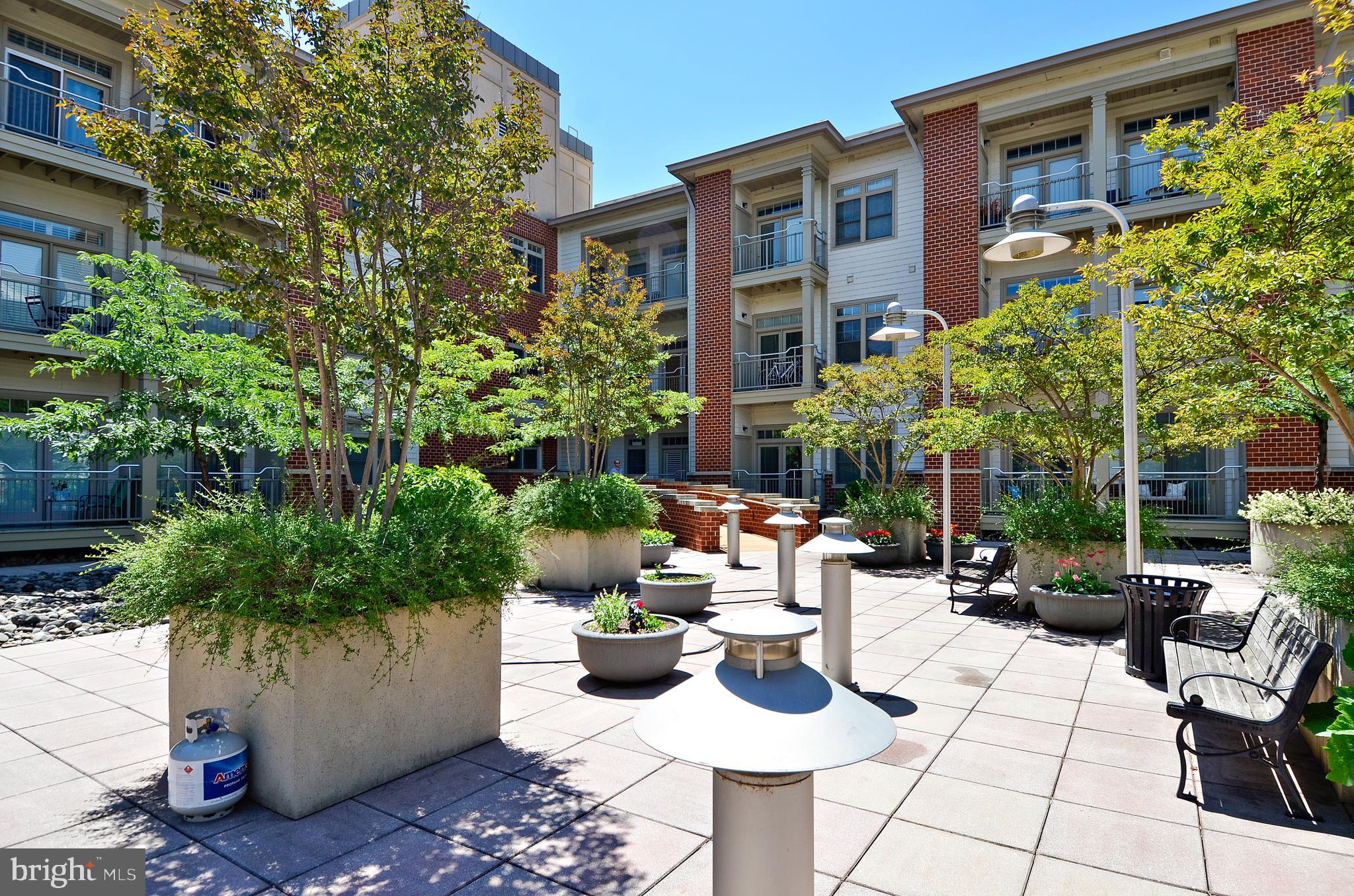 309 HOLLAND LANE 331