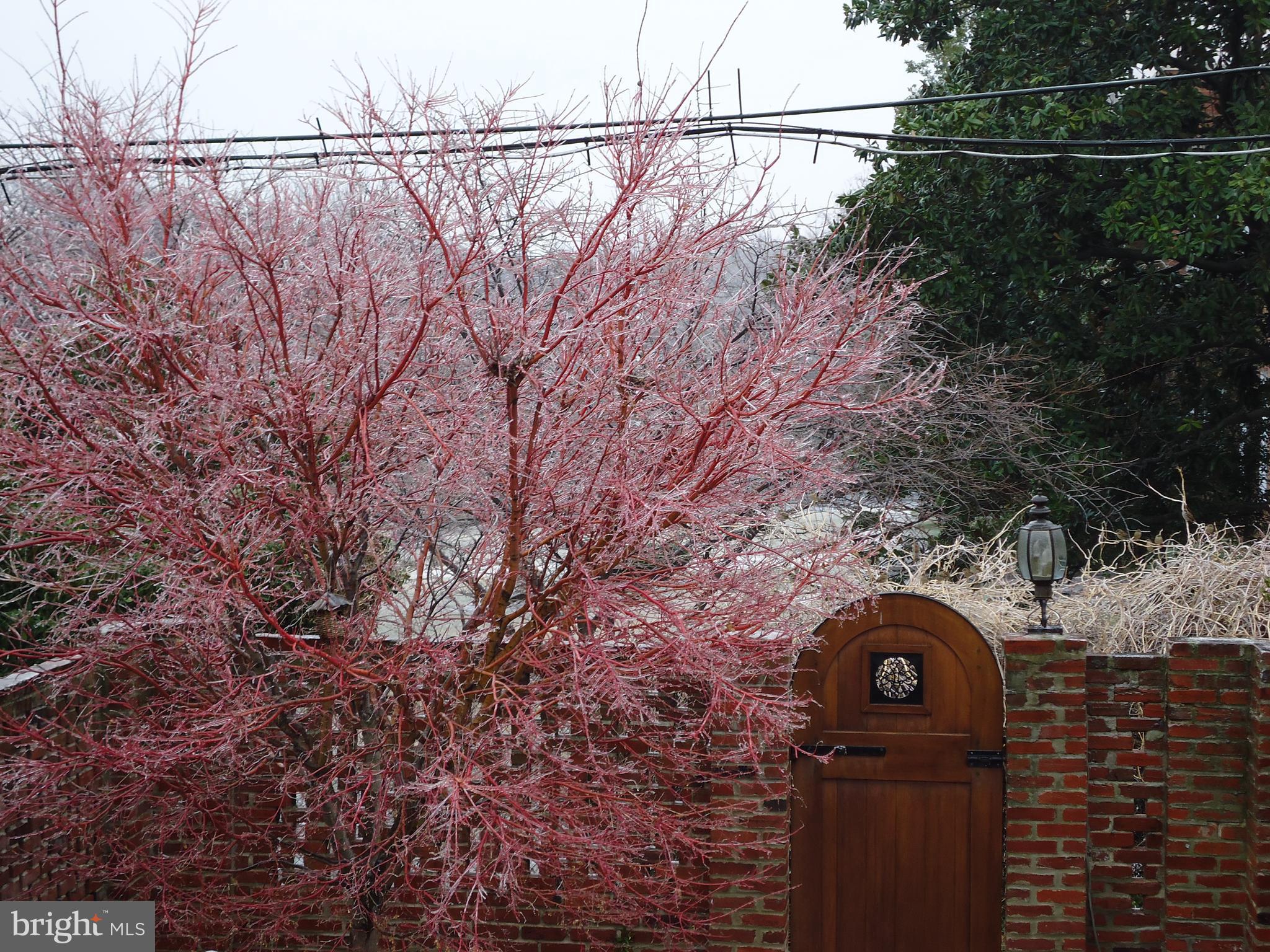 902 S SAINT ASAPH STREET