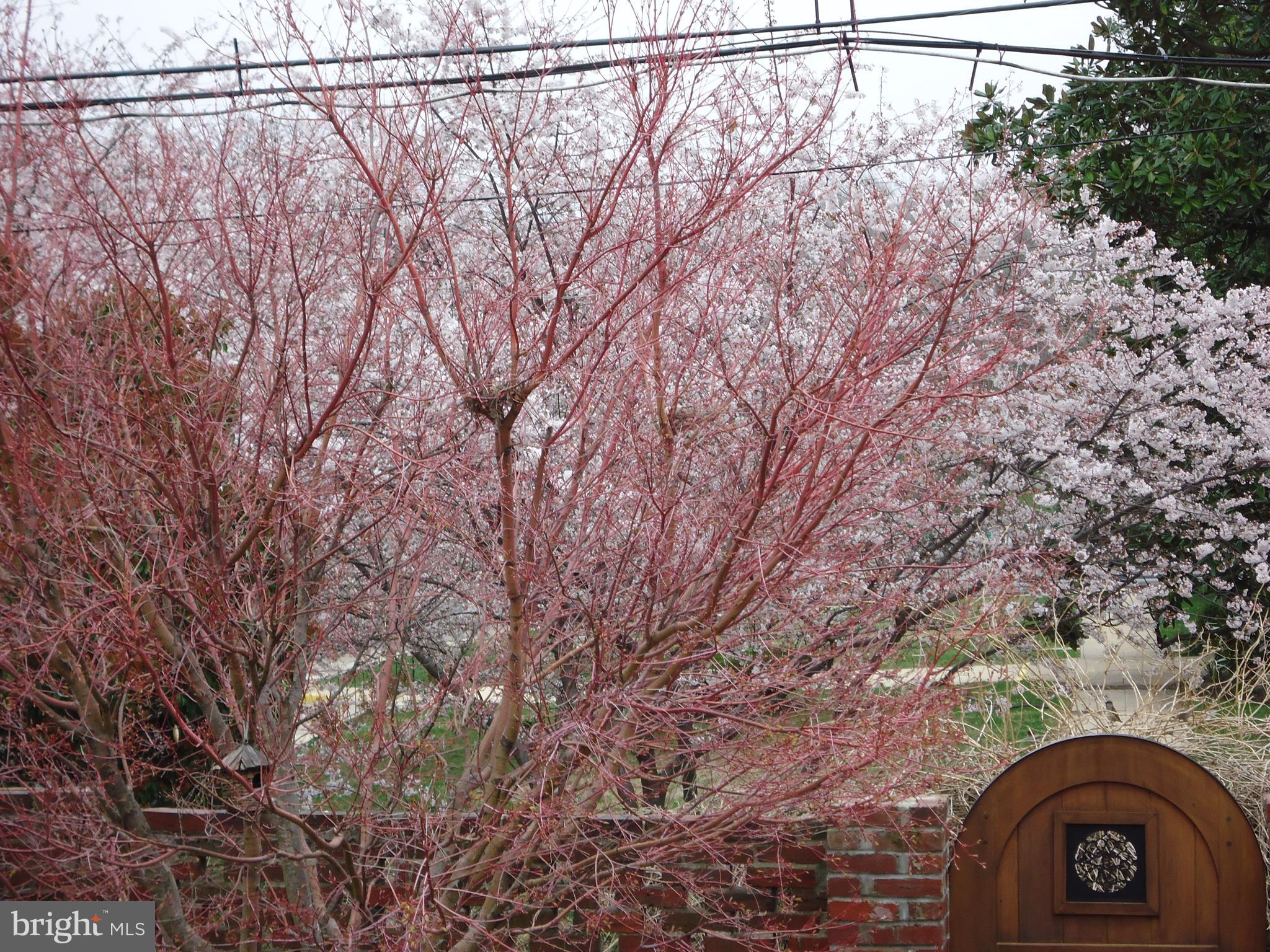 902 S SAINT ASAPH STREET