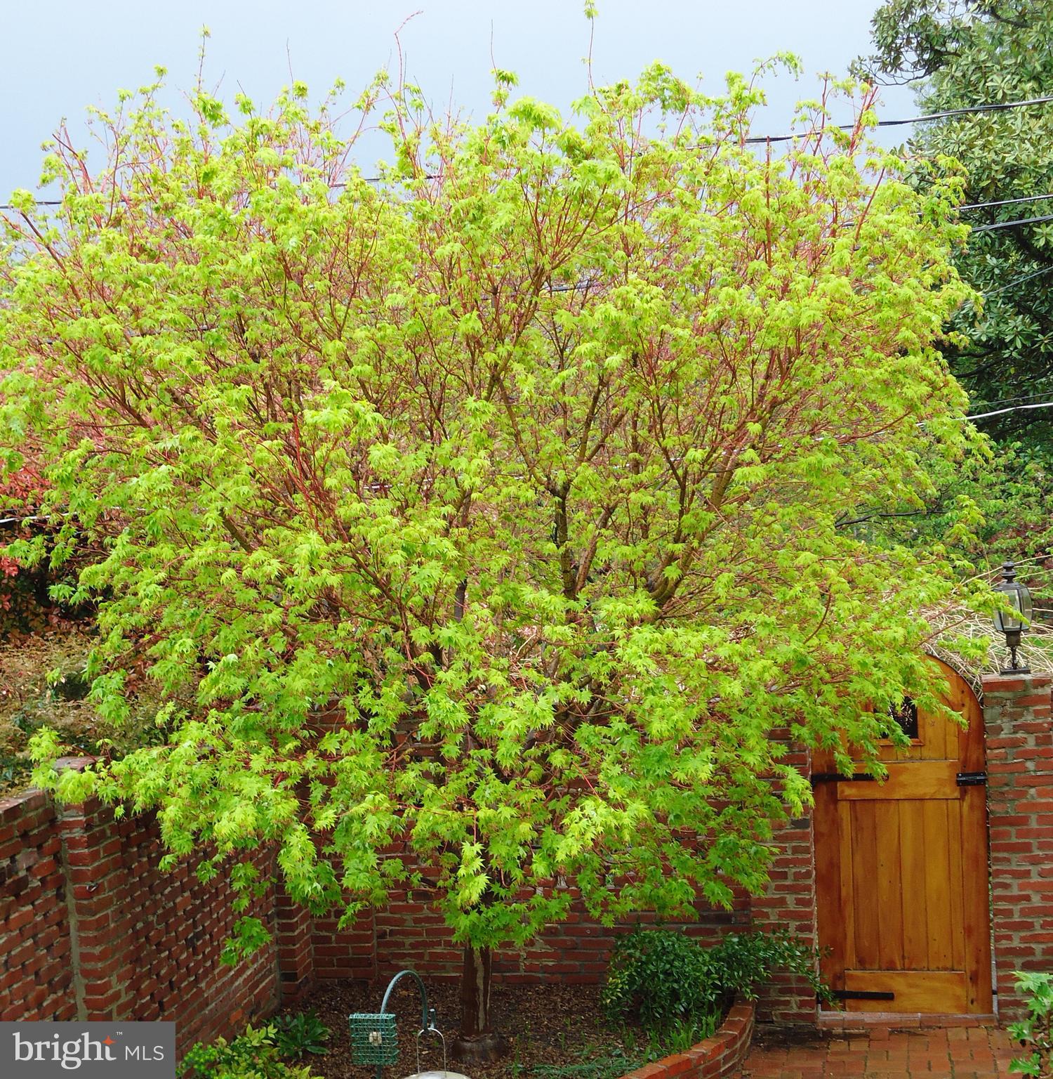 902 S SAINT ASAPH STREET