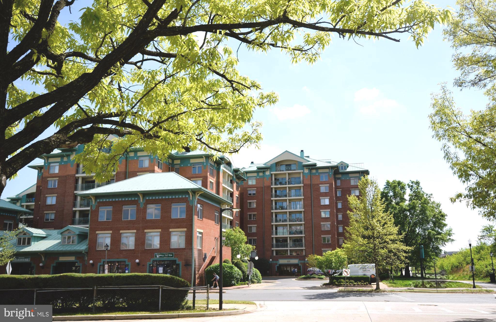 505 E BRADDOCK ROAD E 208