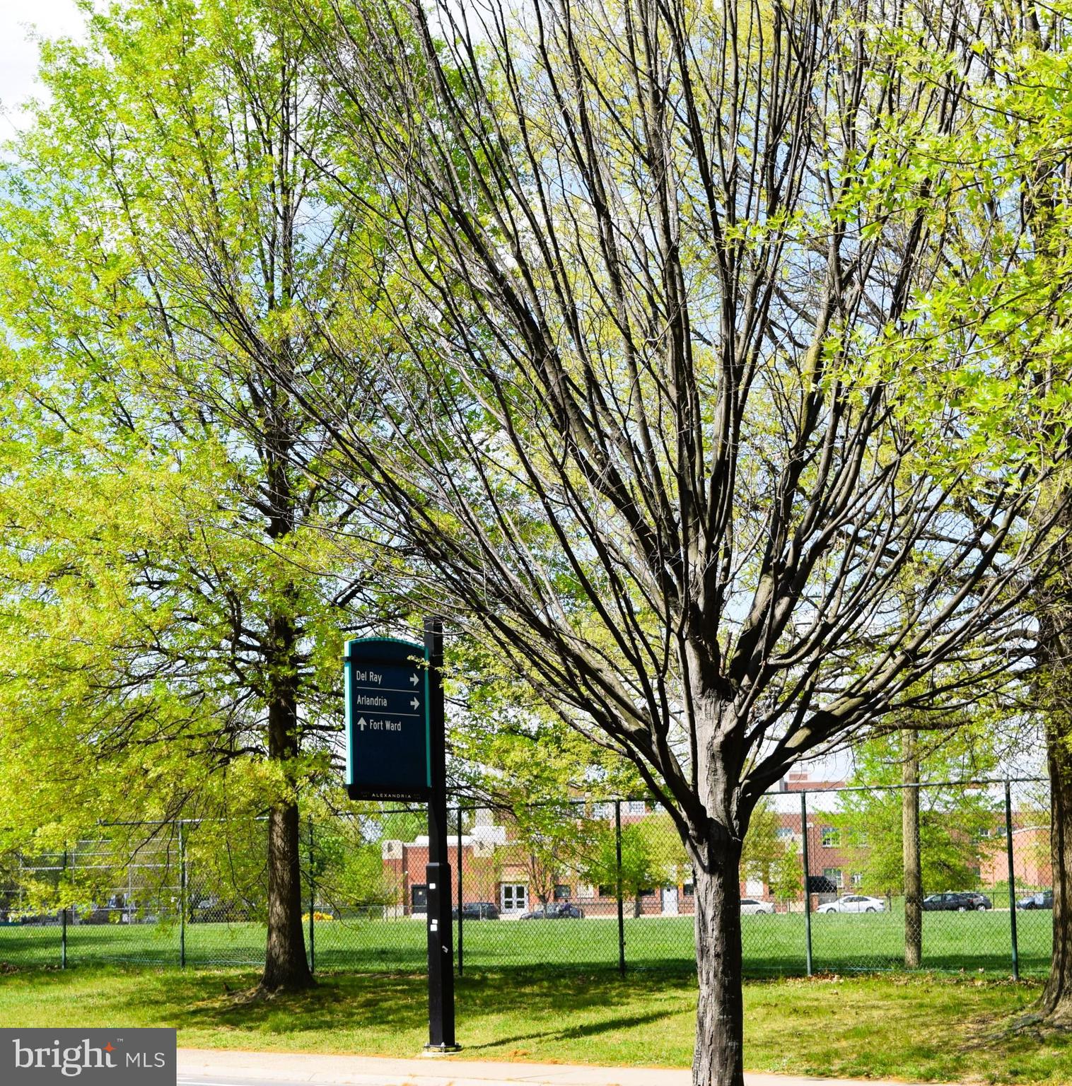 505 E BRADDOCK ROAD E 208