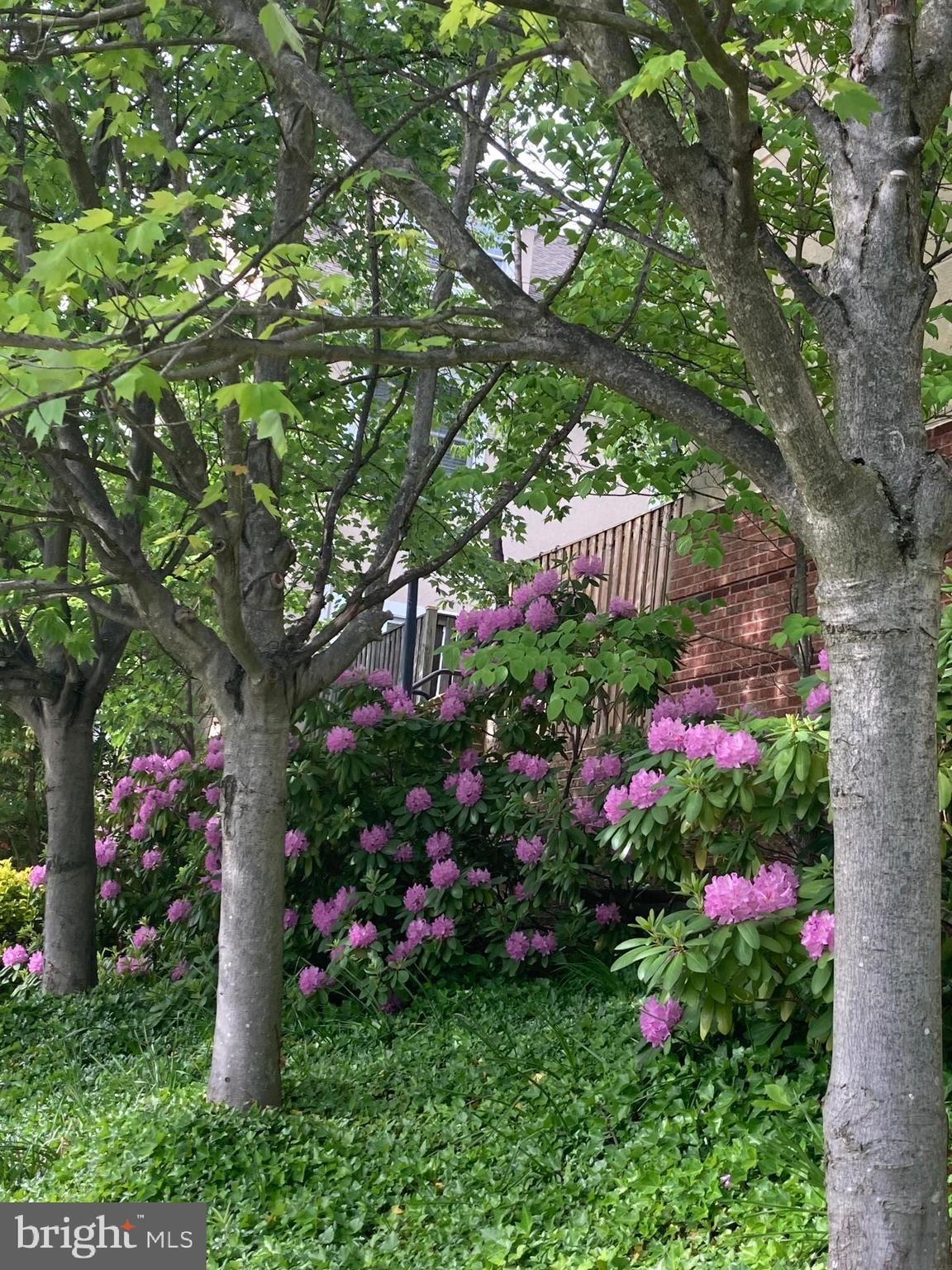 3819 WHITE POST COURT