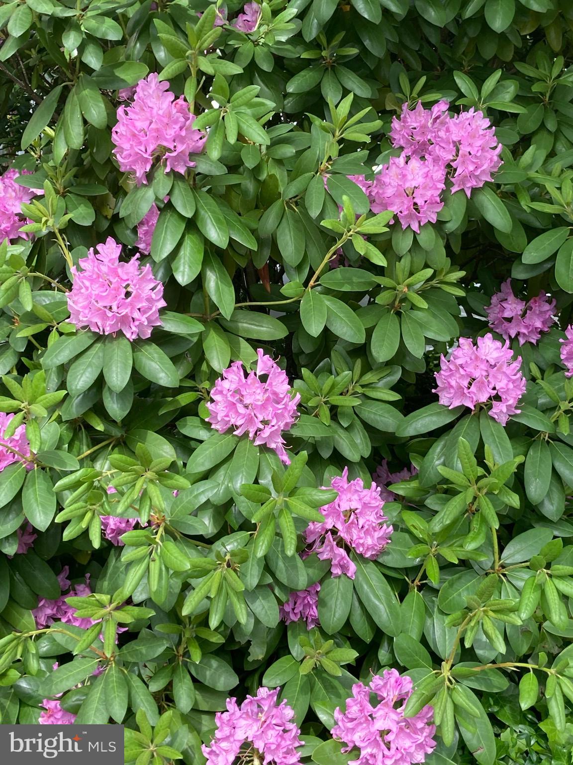 3819 WHITE POST COURT