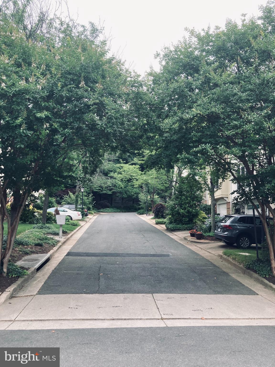 3819 WHITE POST COURT