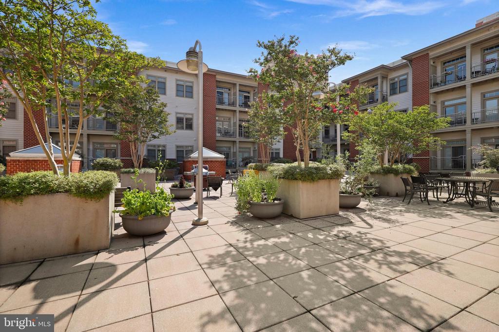 309 HOLLAND LANE 310