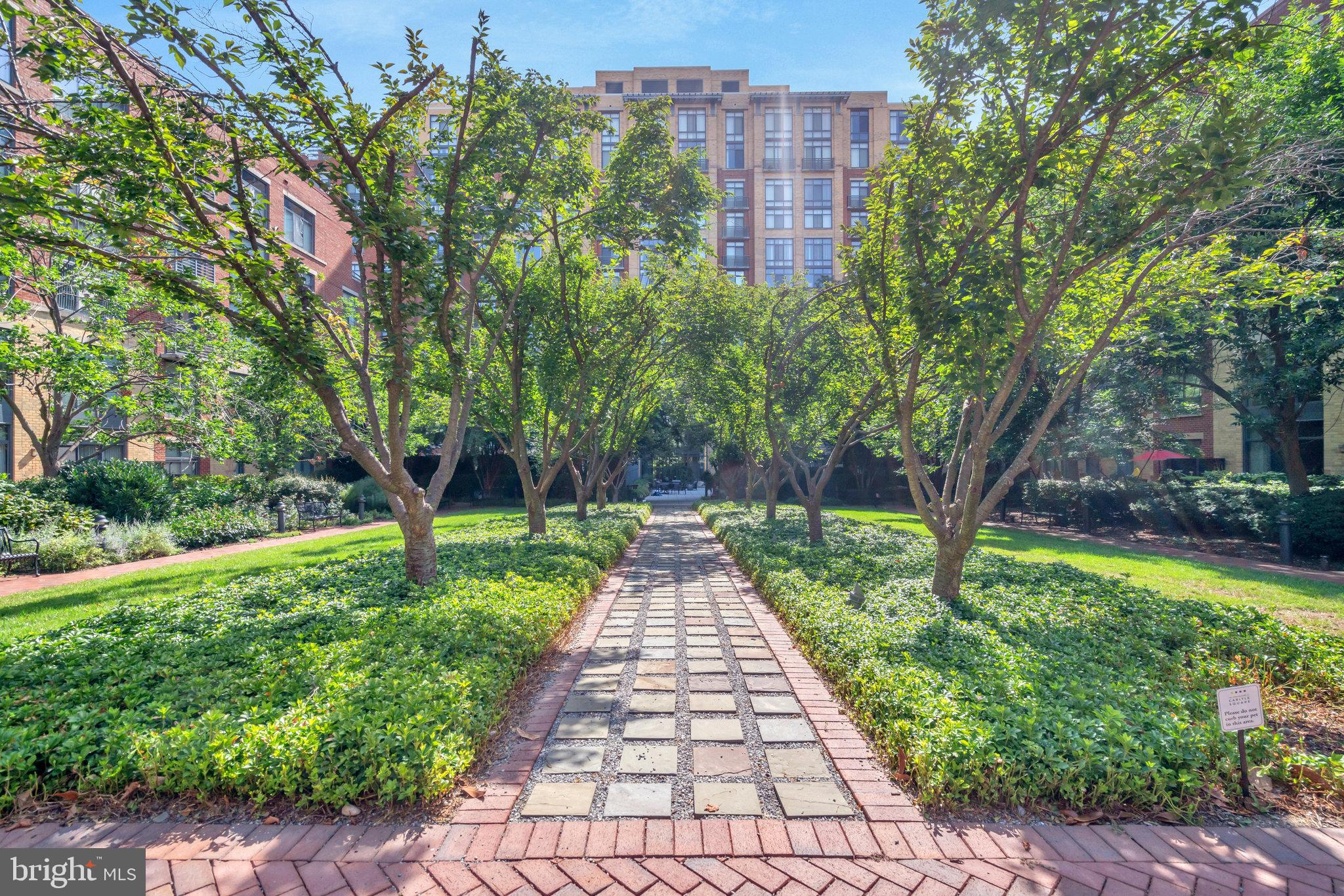 520 JOHN CARLYLE STREET 226