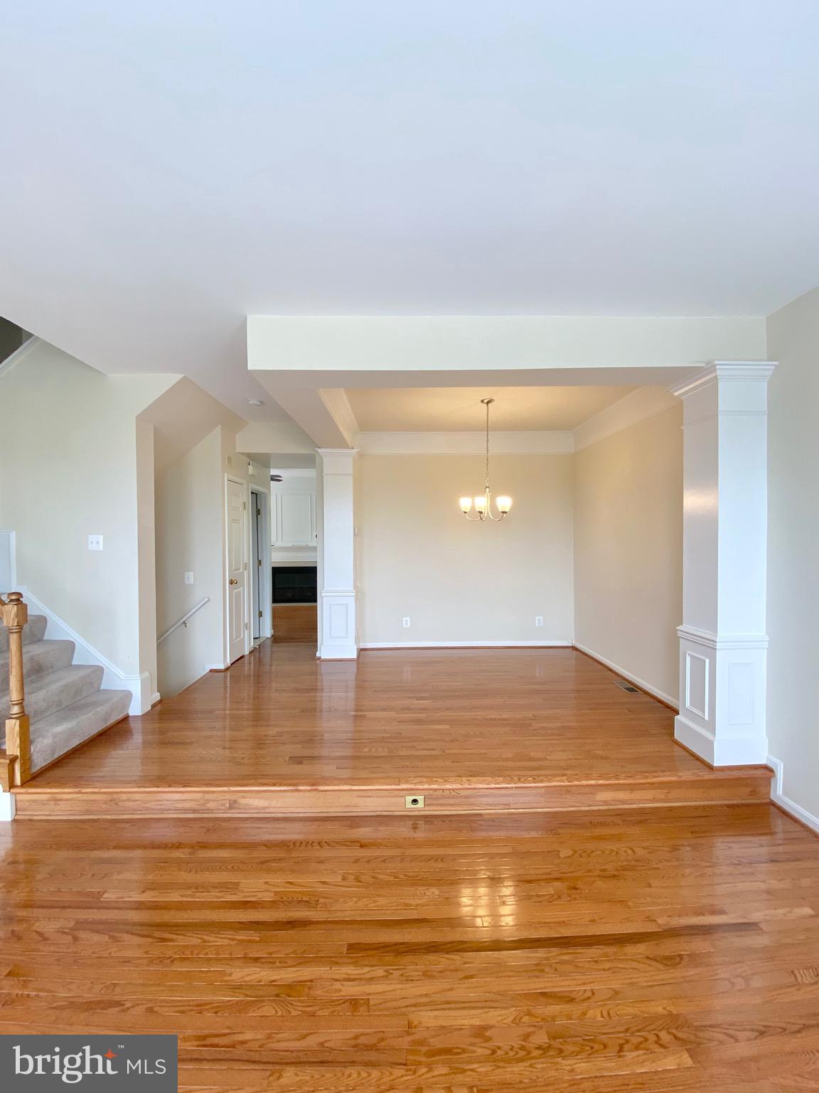81 ARELL COURT