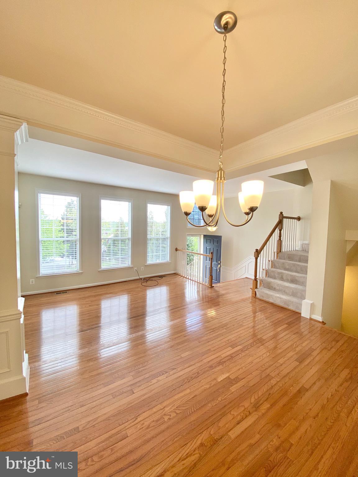 81 ARELL COURT