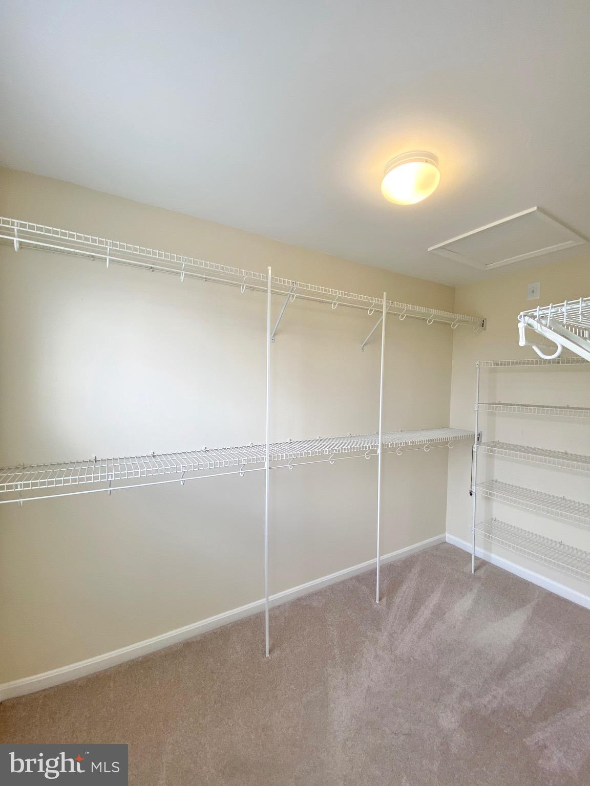 81 ARELL COURT