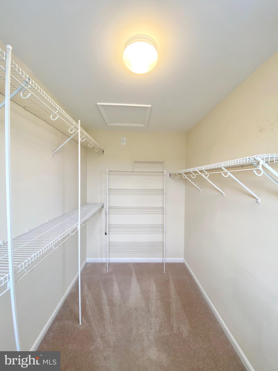 81 ARELL COURT