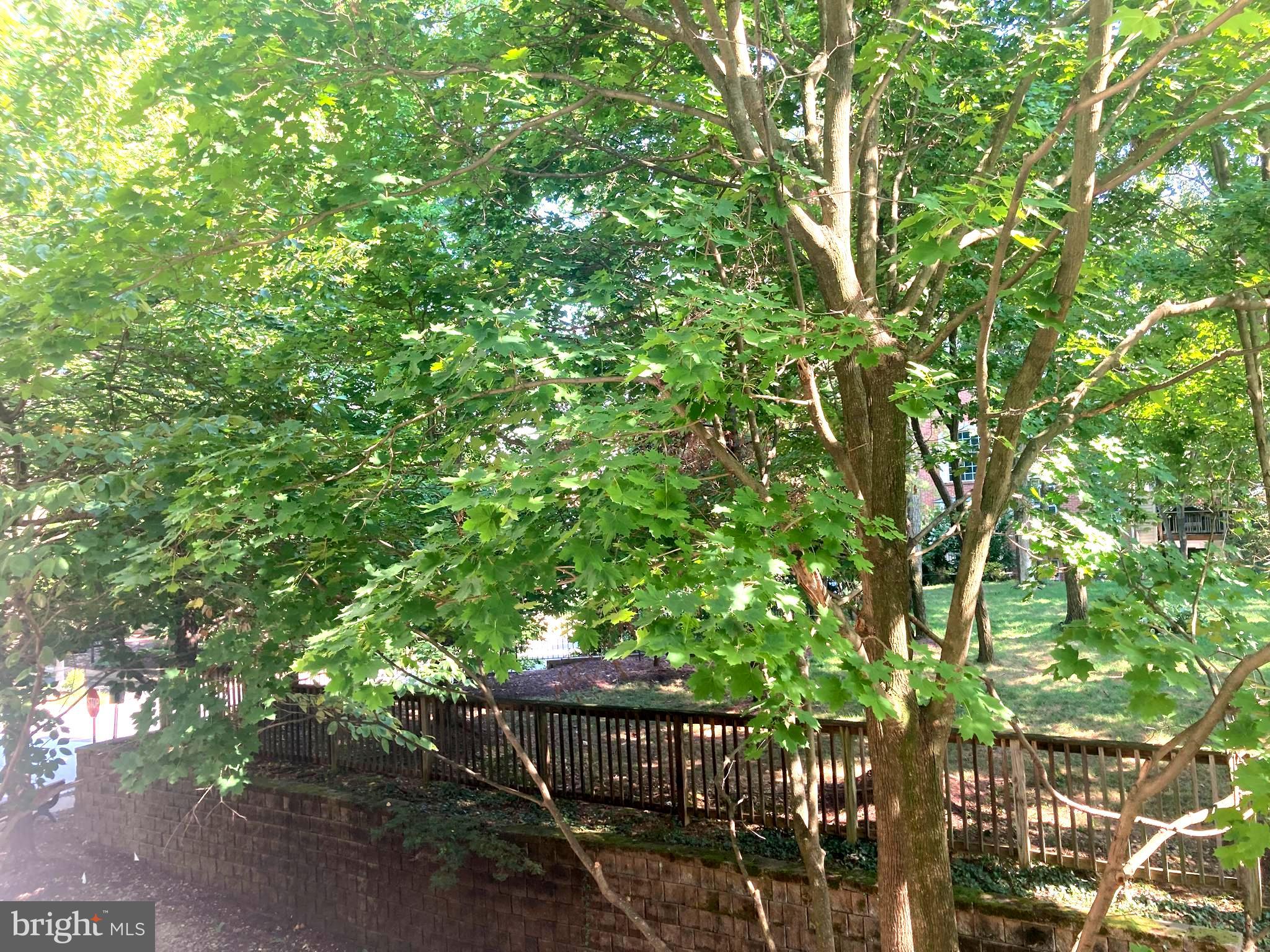 2323 HENSHAW PLACE 103