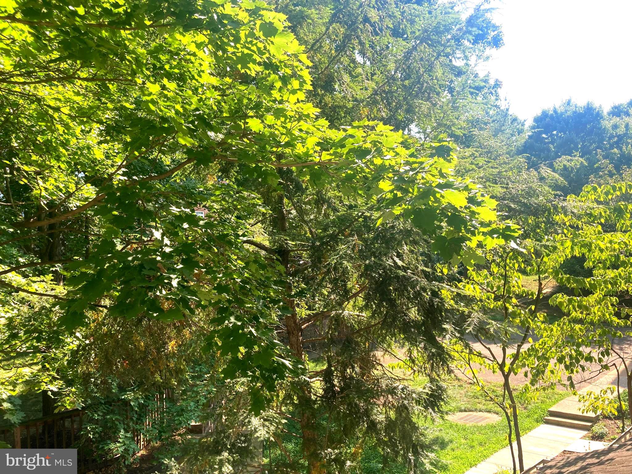 2323 HENSHAW PLACE 103