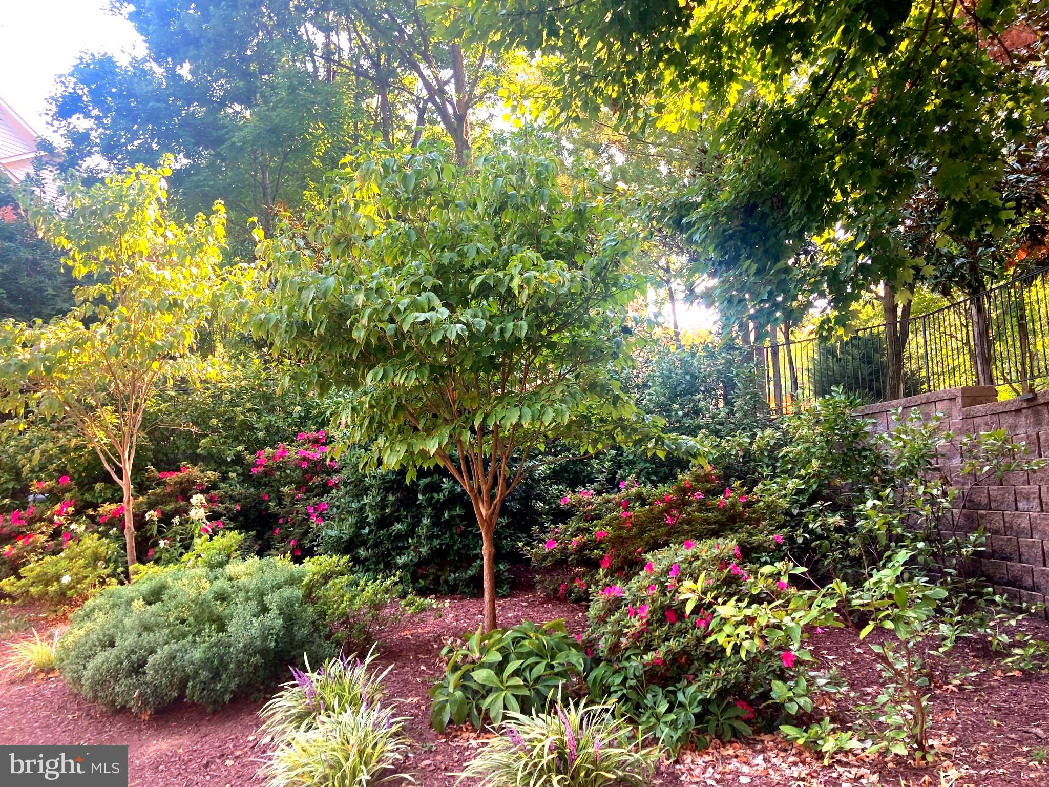 2323 HENSHAW PLACE 103