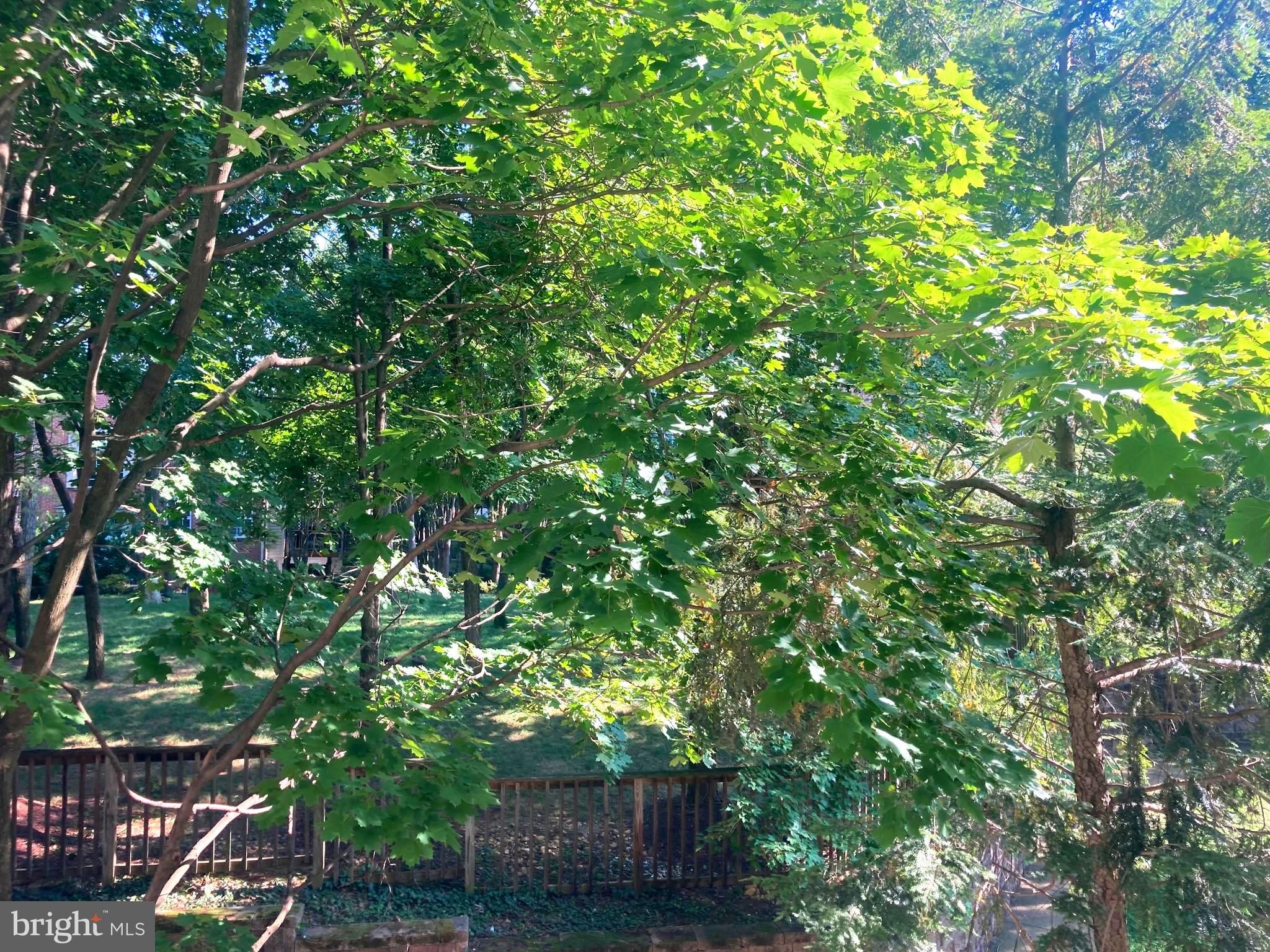 2323 HENSHAW PLACE 103