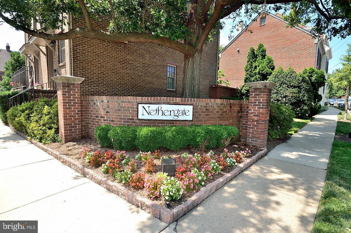1113 MICHIGAN COURT