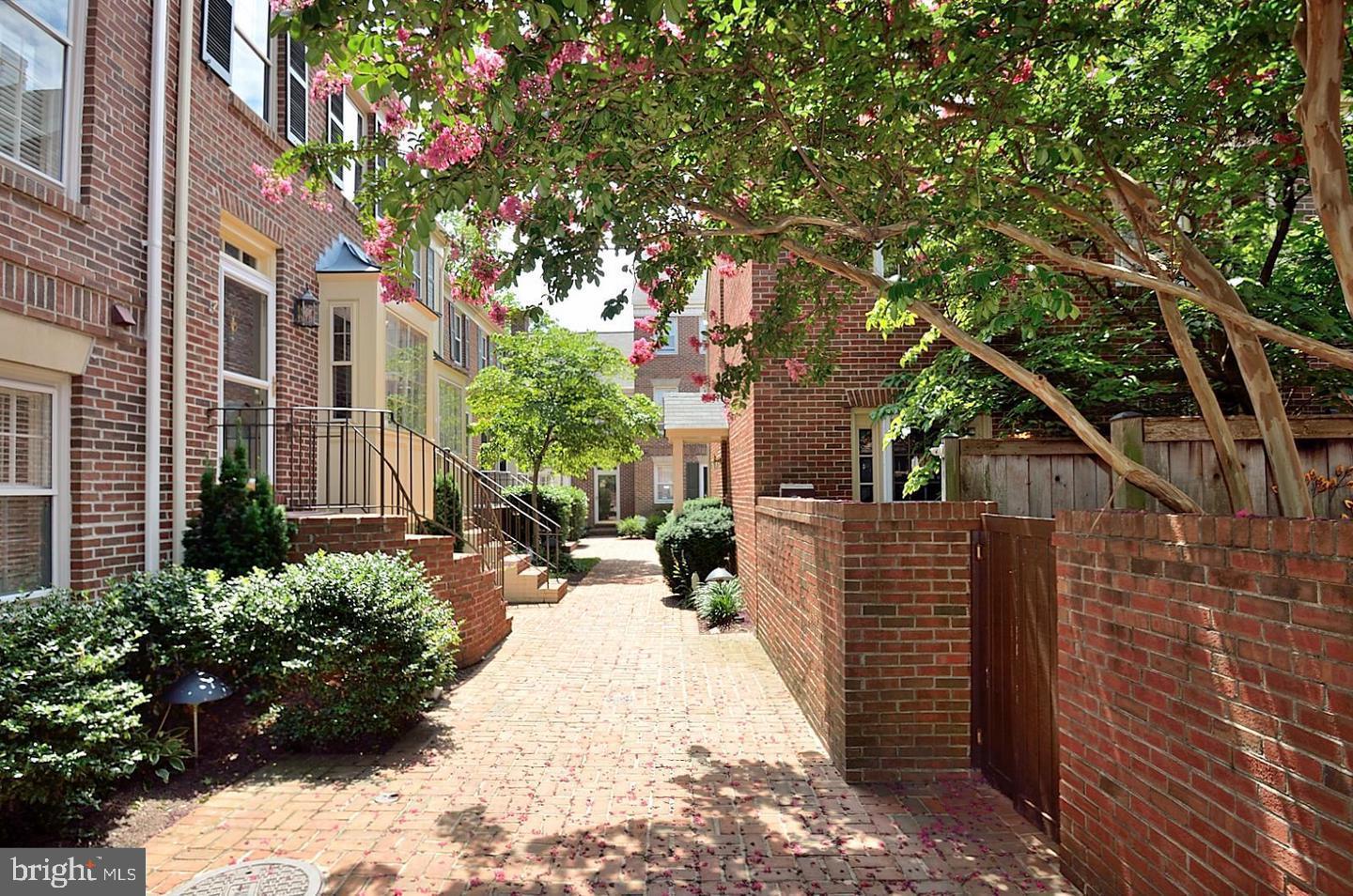 1113 MICHIGAN COURT