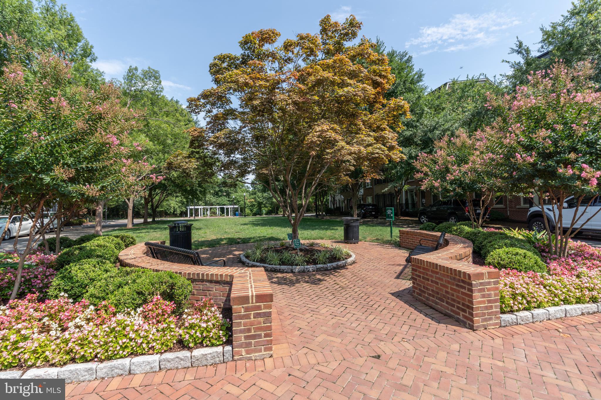703 LYLES LANE