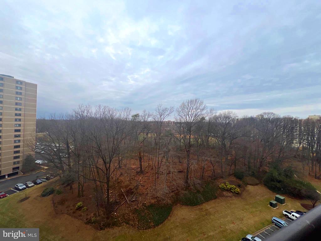 203 YOAKUM PARKWAY 1103