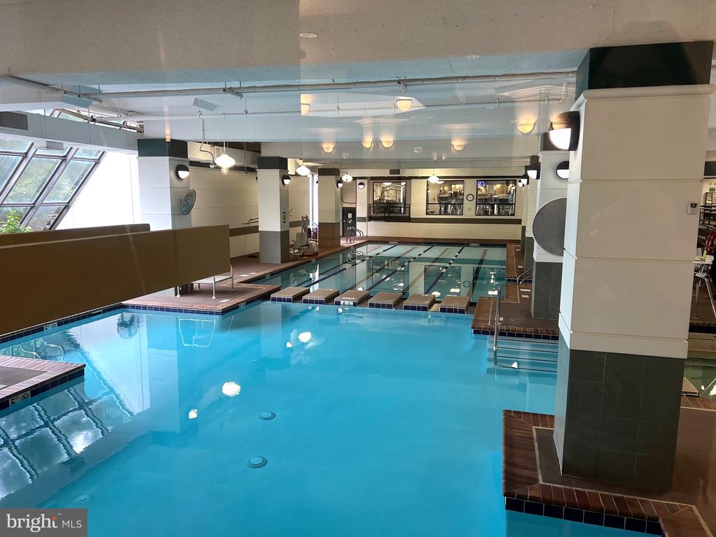 203 YOAKUM PARKWAY 1103