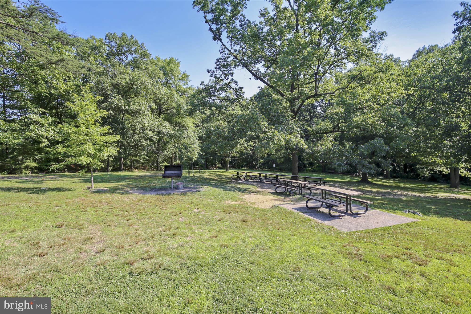 1225 MARTHA CUSTIS DRIVE 219