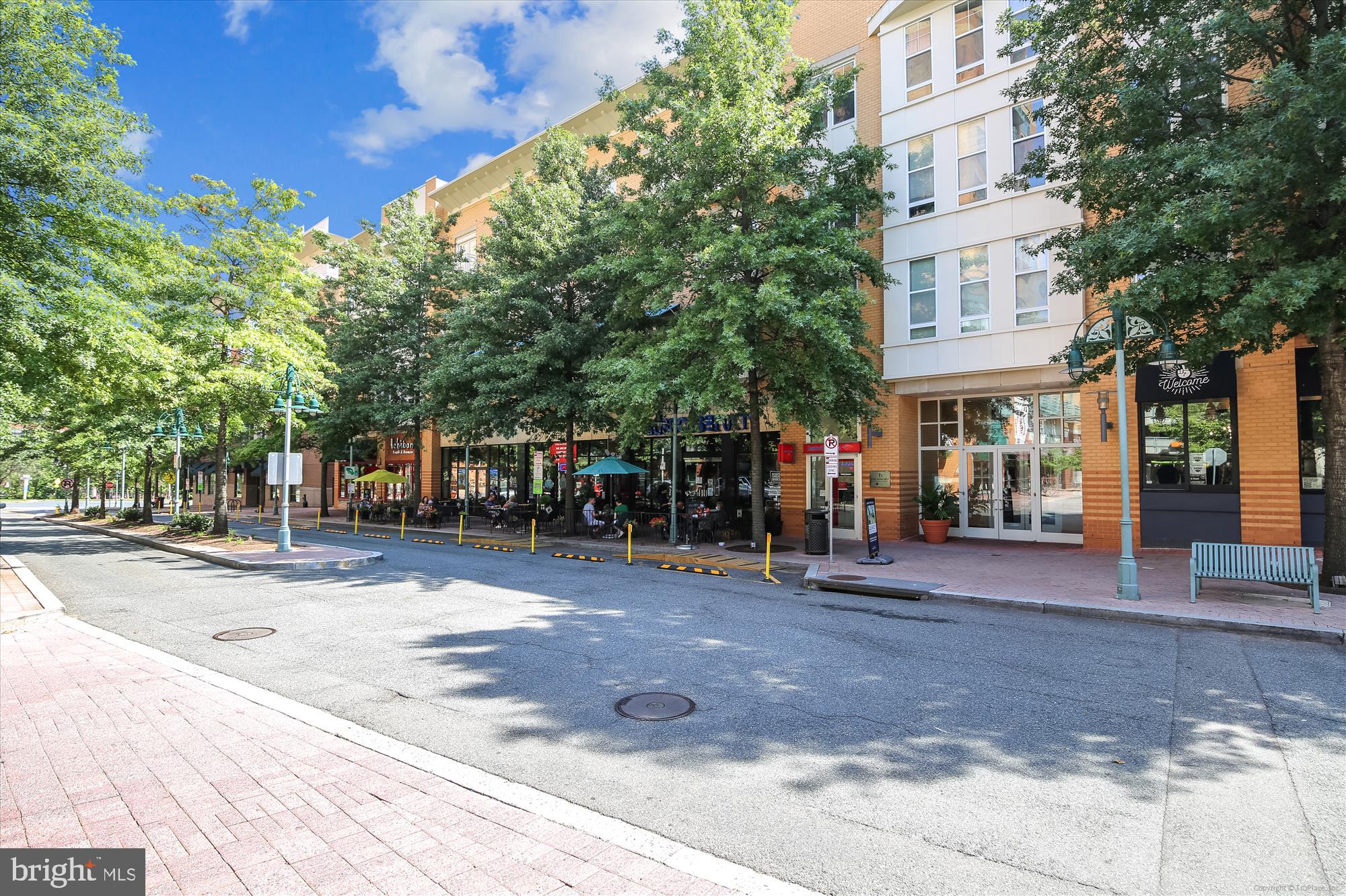 1225 MARTHA CUSTIS DRIVE 219