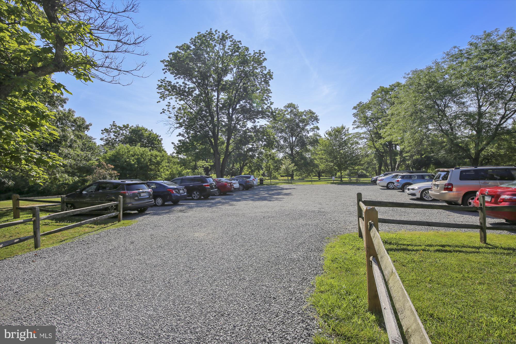 1225 MARTHA CUSTIS DRIVE 219