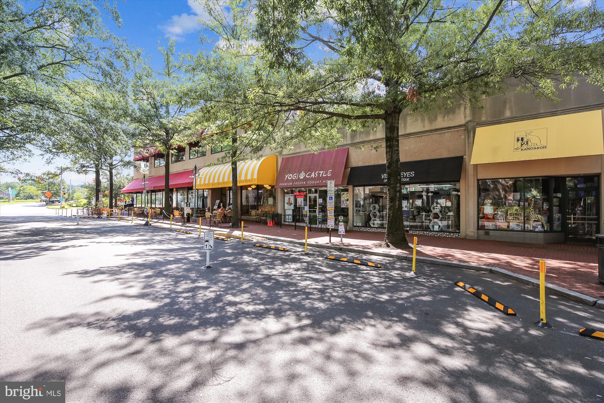 1225 MARTHA CUSTIS DRIVE 219