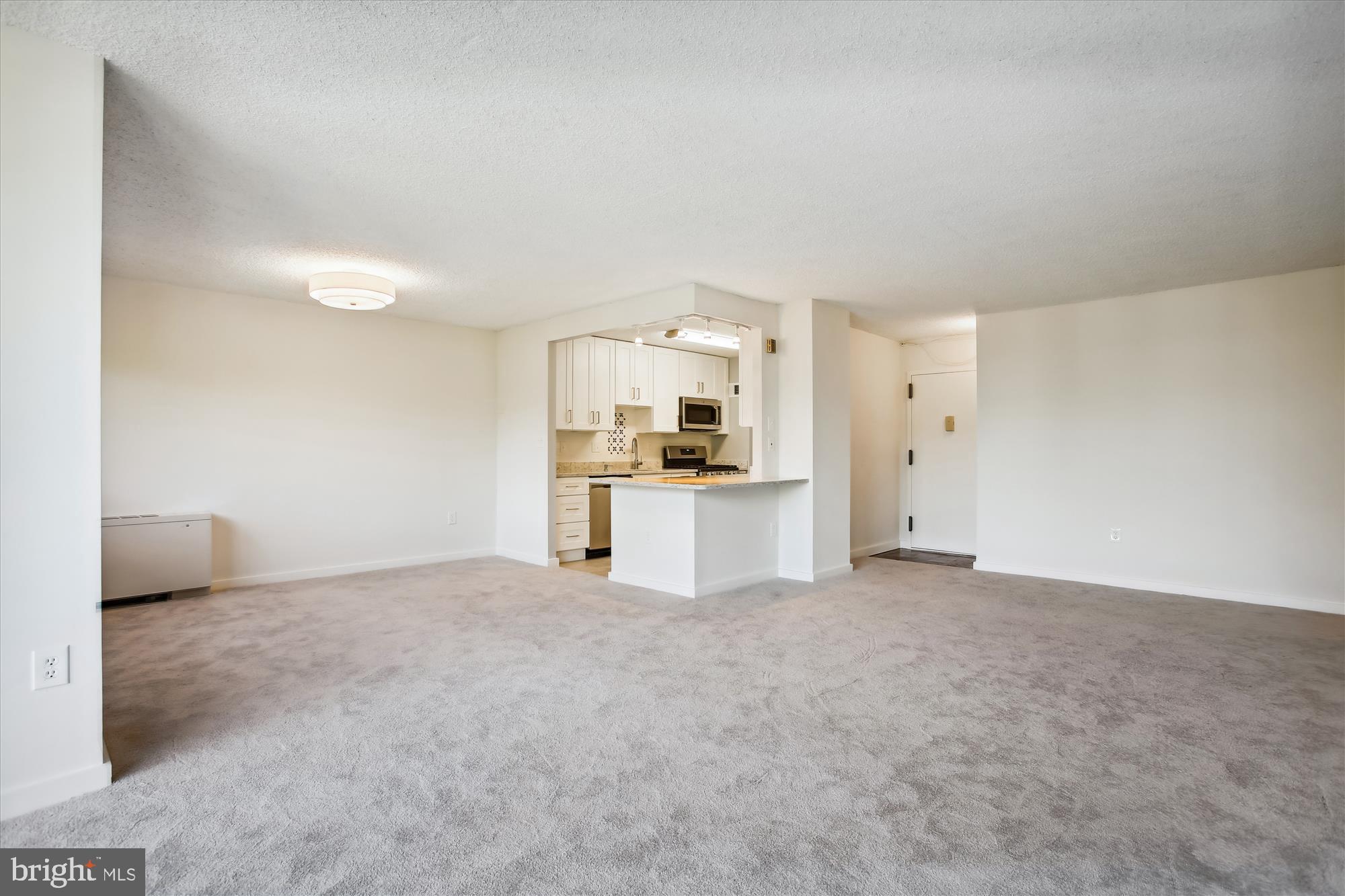 1225 MARTHA CUSTIS DRIVE 219