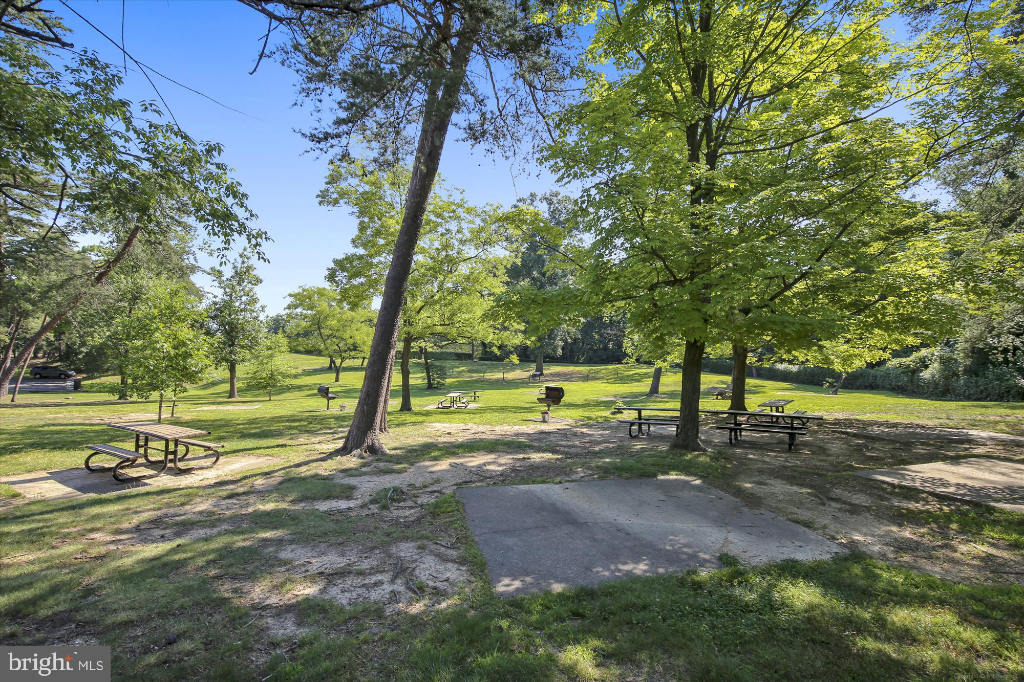 1225 MARTHA CUSTIS DRIVE 219