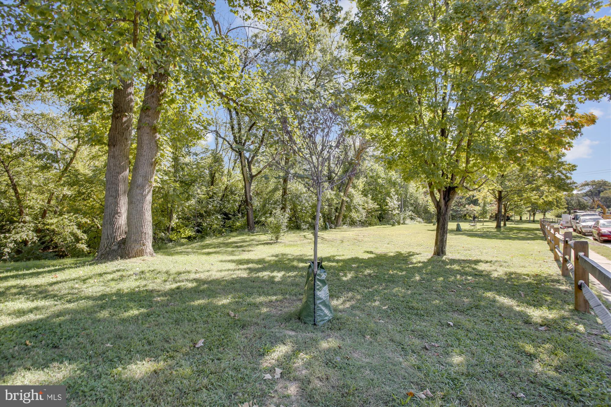 1225 MARTHA CUSTIS DRIVE 219