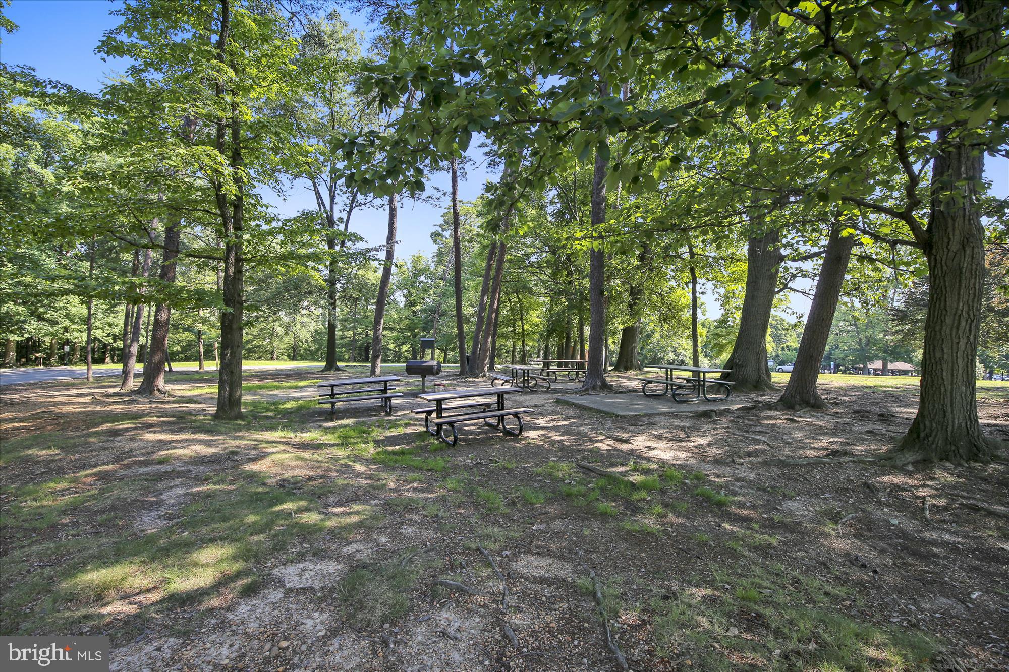 1225 MARTHA CUSTIS DRIVE 219