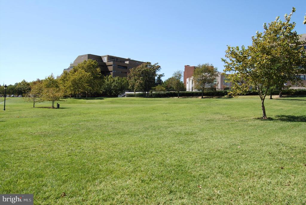 817 WATER PLACE