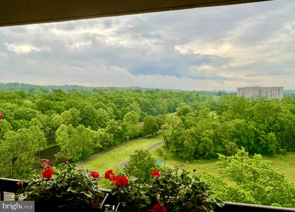 200 N PICKETT STREET 807