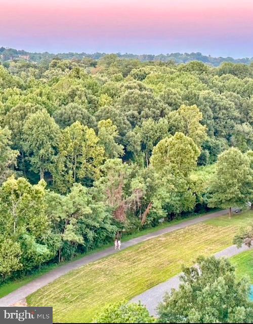 200 N PICKETT STREET 807