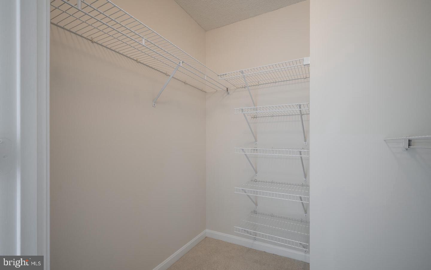 2151 JAMIESON AVENUE 1503