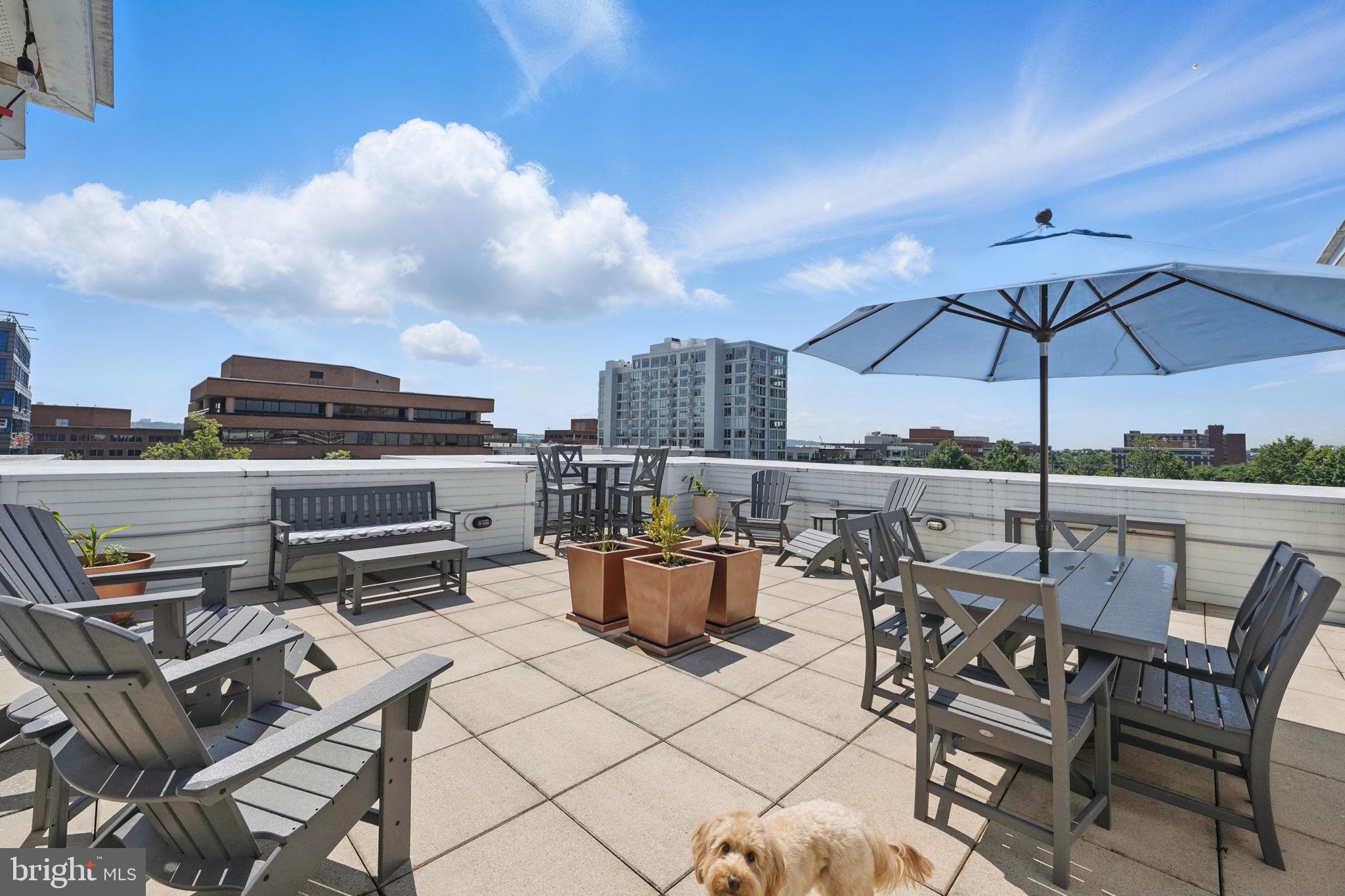 1023 N ROYAL STREET 207