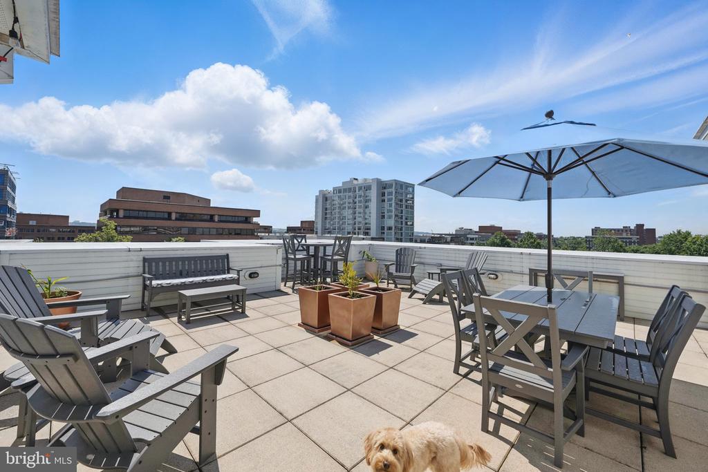 1023 N ROYAL STREET 207