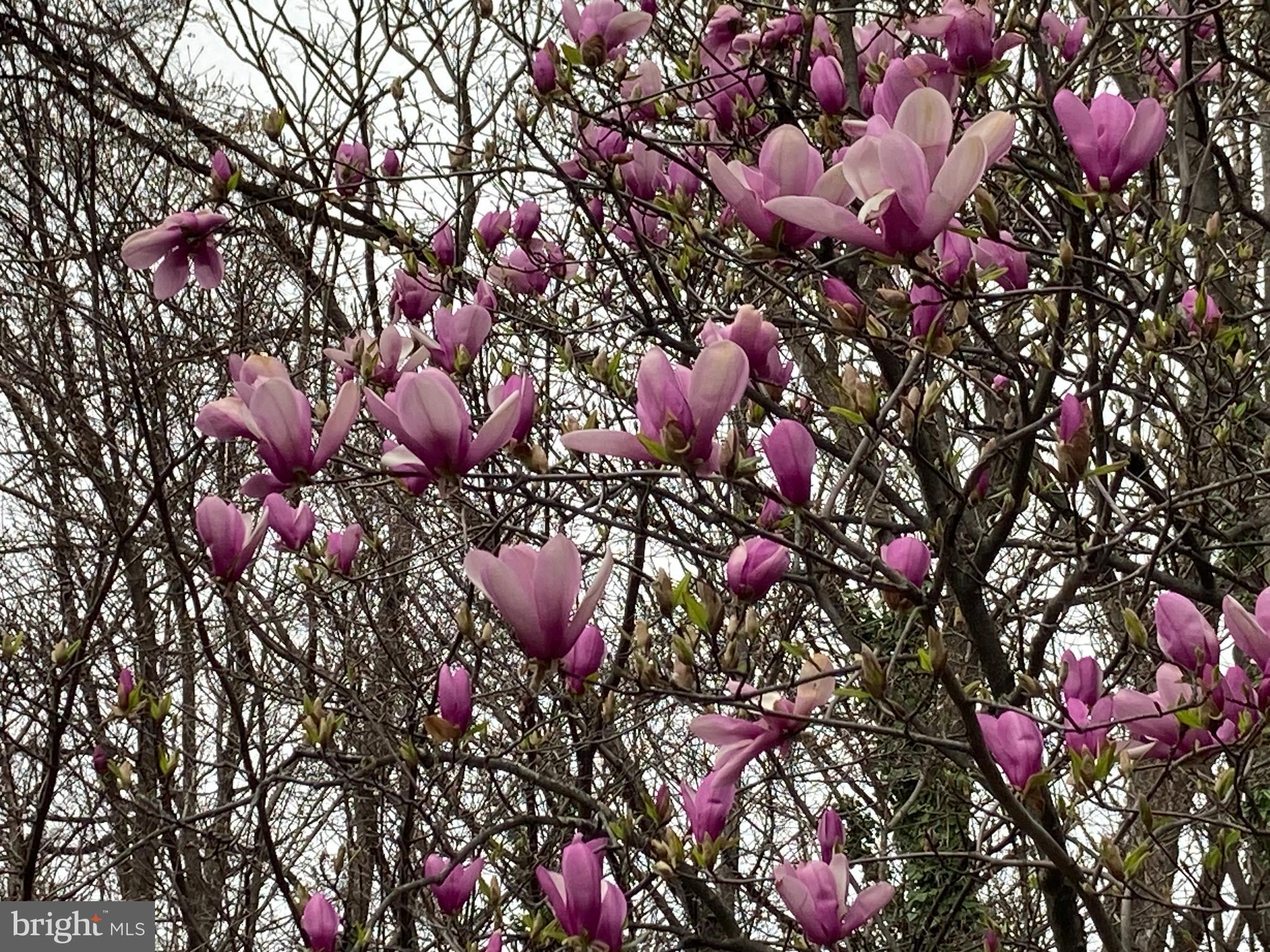 3818 WHITE POST COURT