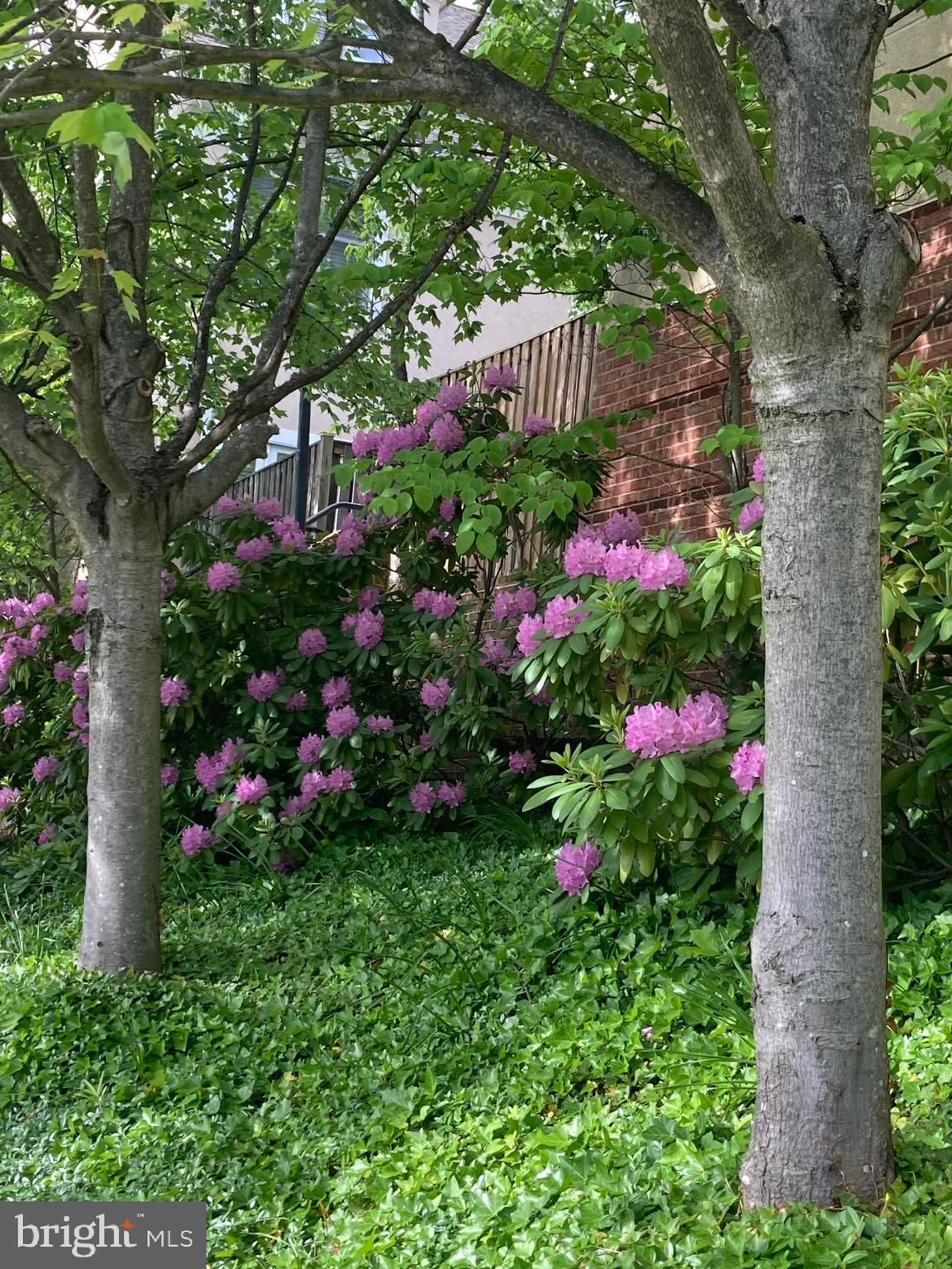 3818 WHITE POST COURT