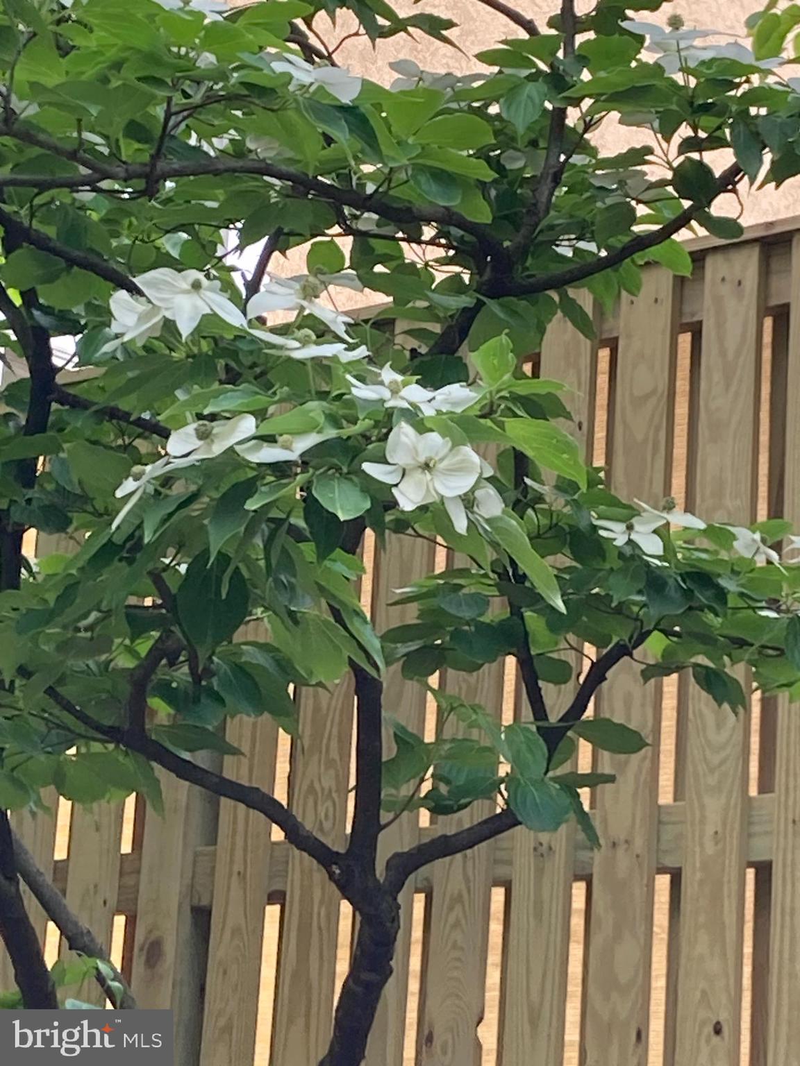 3818 WHITE POST COURT