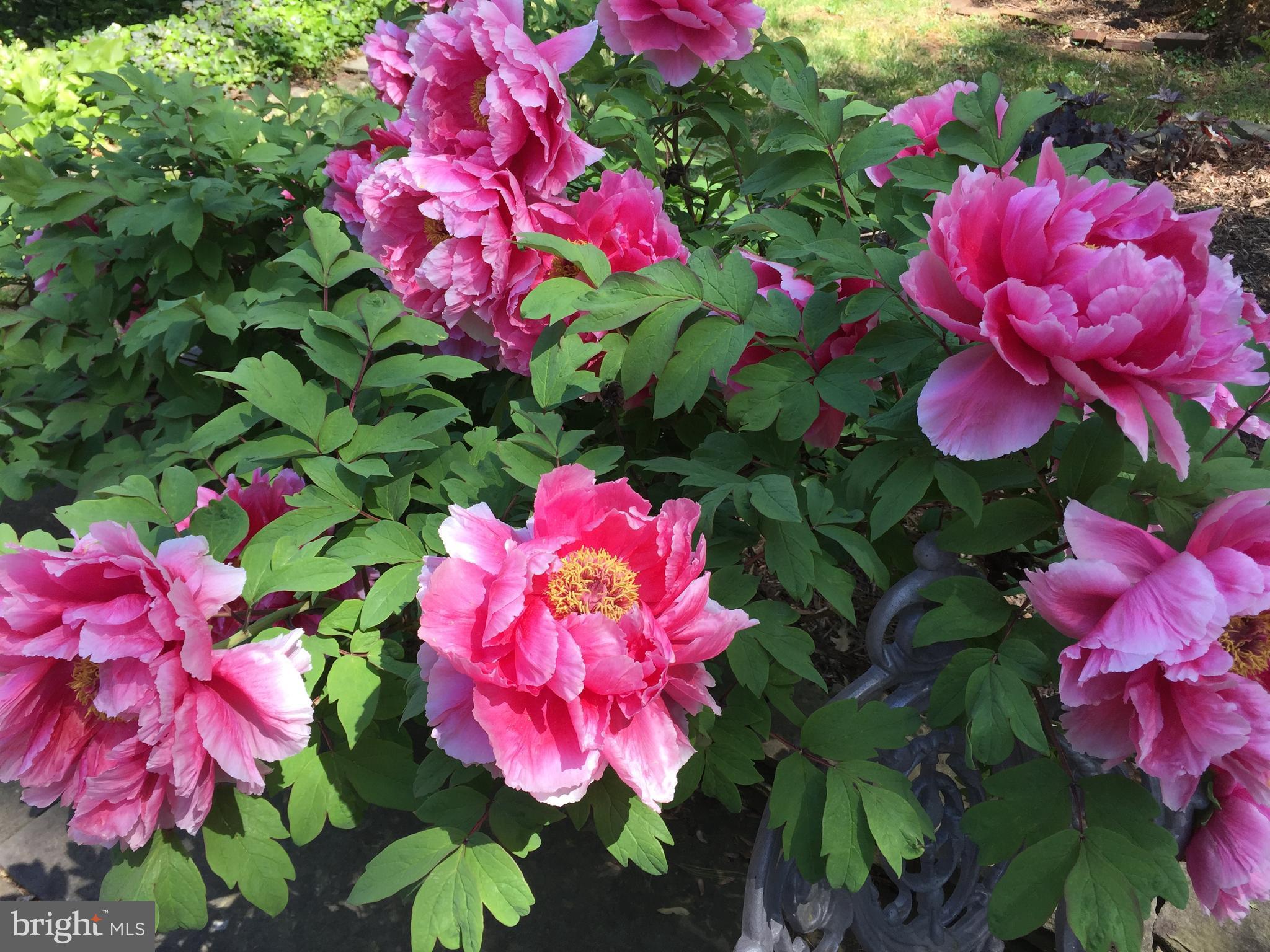 3601 GREENWAY PLACE 530-36