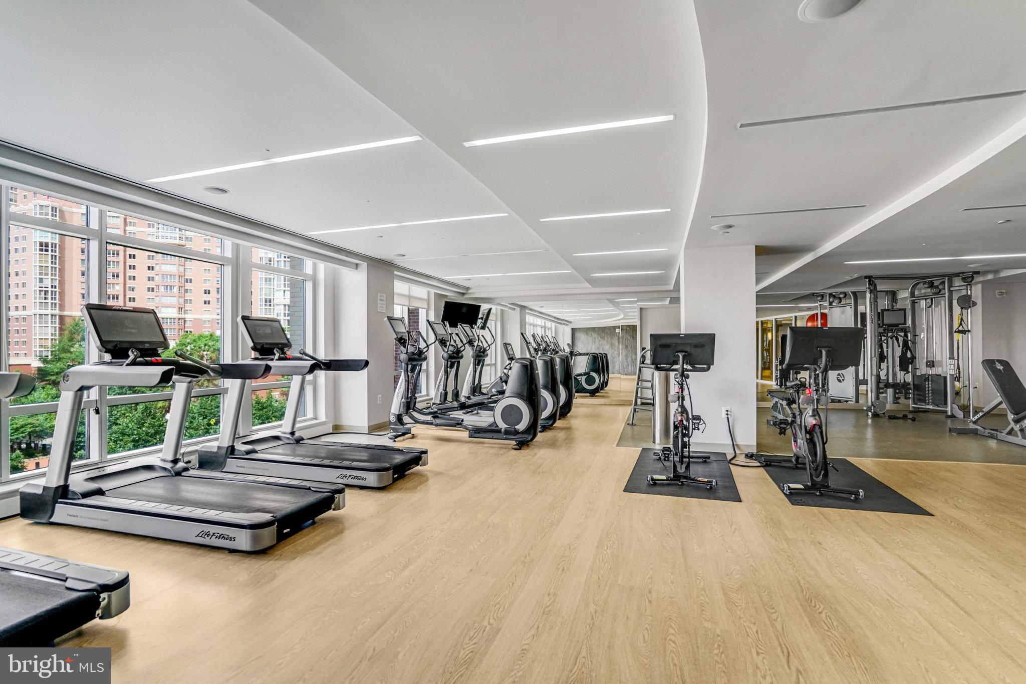 2050 JAMIESON AVENUE 1303